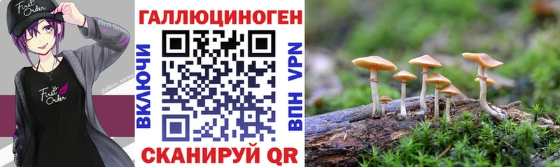 ОМГ ОМГ маркетплейс  Дигора  Псилоцибиновые грибы GOLDEN TEACHER 